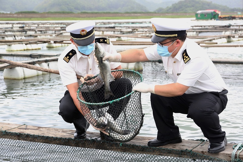 宁波海关所属象山海关查验关员开展水生动物疫病取样监测-20210805林燕摄（1）