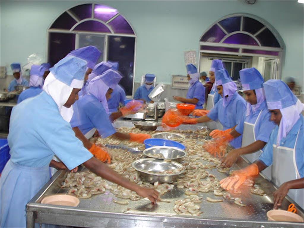 印度海产品出口商开始离开中国进入新市场