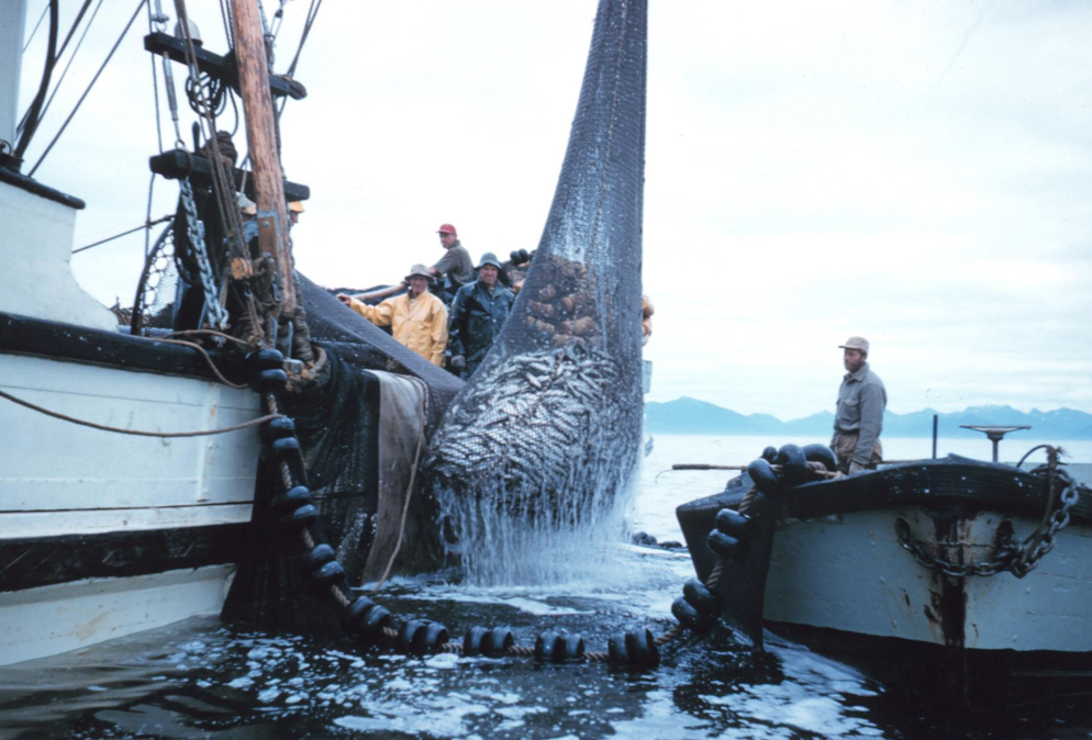 截屏2022-03-09 10.12.08.png