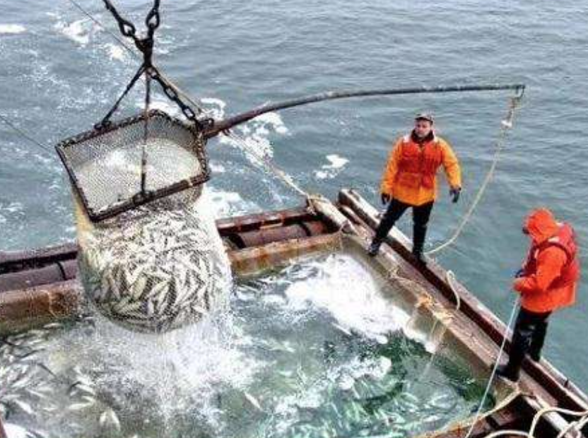 截屏2022-03-09 10.11.40.png