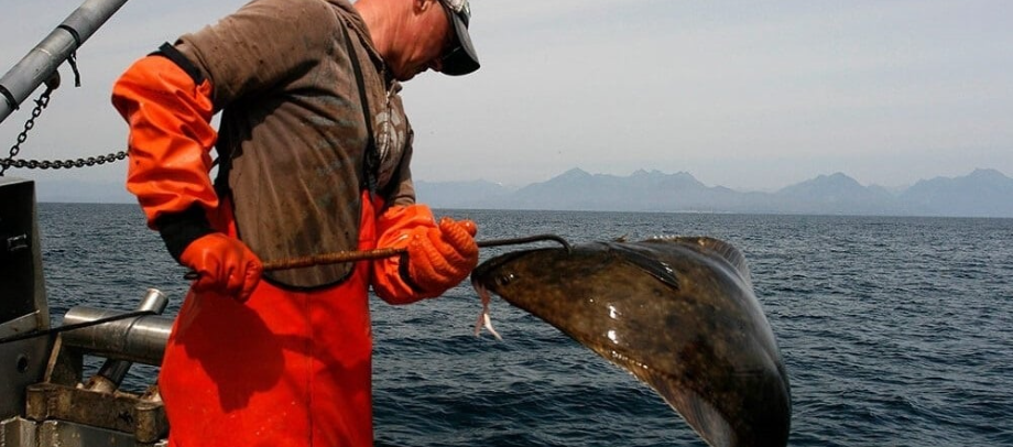 屏幕截图 2023-04-28 230741.png