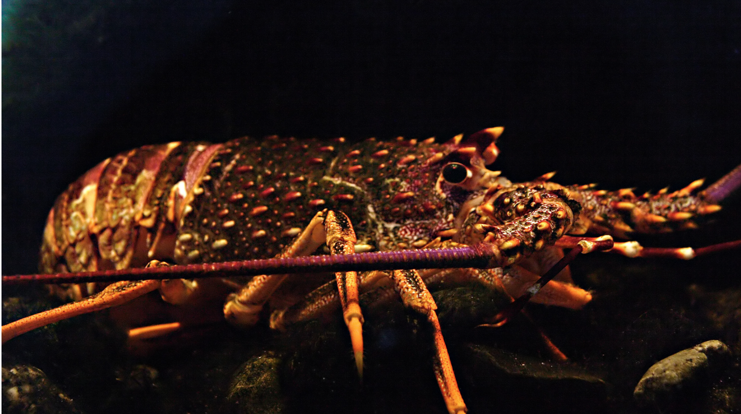 截屏2023-04-03 下午10.26.51.png